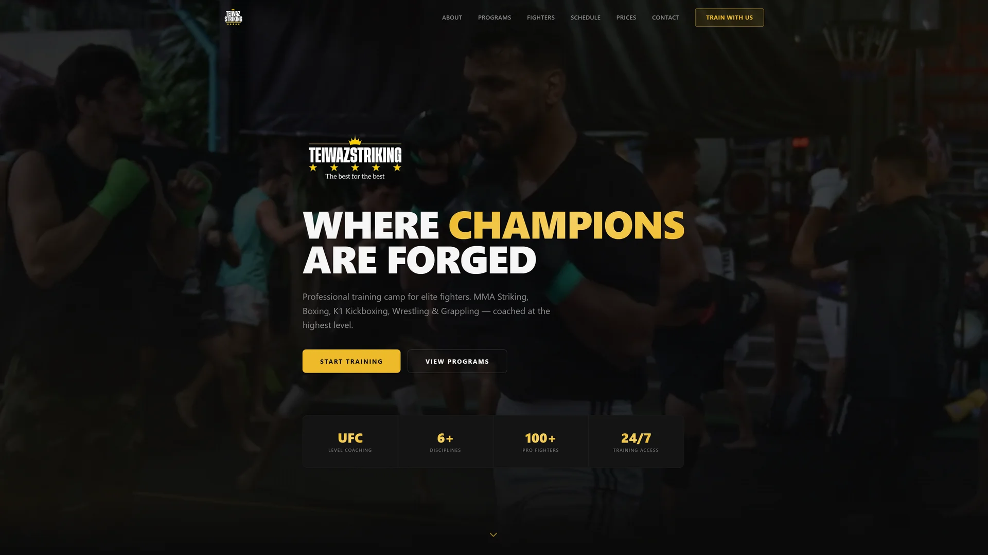 Teiwaz Striking Screenshot - Click to visit project